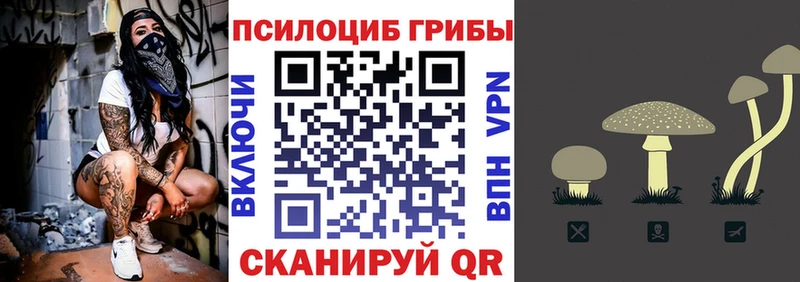 Псилоцибиновые грибы мицелий Мамоново